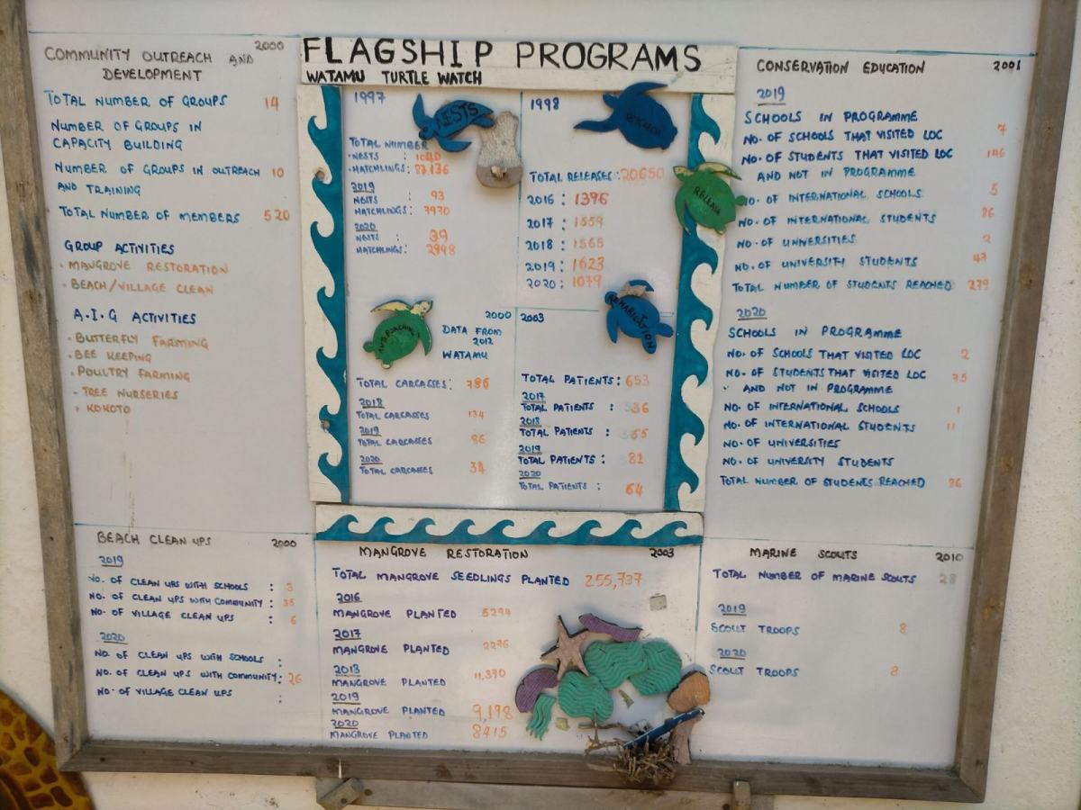 Local Ocean Conservation Flagship programmes